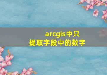 arcgis中只提取字段中的数字