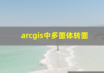 arcgis中多面体转面