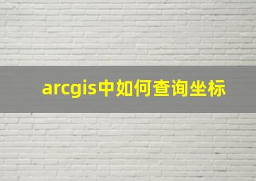 arcgis中如何查询坐标