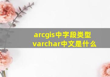 arcgis中字段类型varchar中文是什么