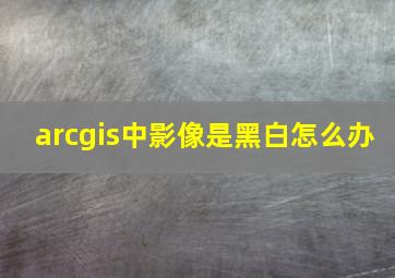 arcgis中影像是黑白怎么办