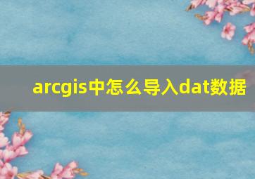 arcgis中怎么导入dat数据