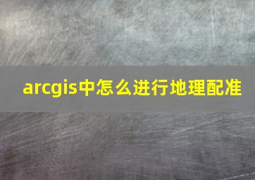 arcgis中怎么进行地理配准