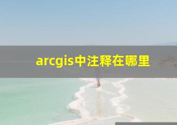 arcgis中注释在哪里