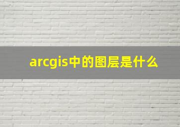 arcgis中的图层是什么