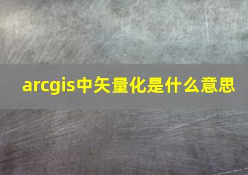 arcgis中矢量化是什么意思