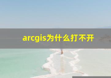 arcgis为什么打不开