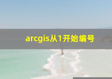 arcgis从1开始编号