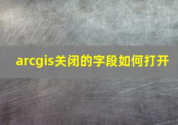 arcgis关闭的字段如何打开