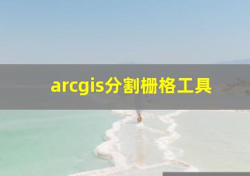 arcgis分割栅格工具