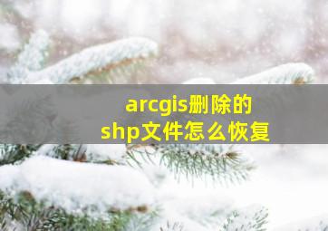 arcgis删除的shp文件怎么恢复