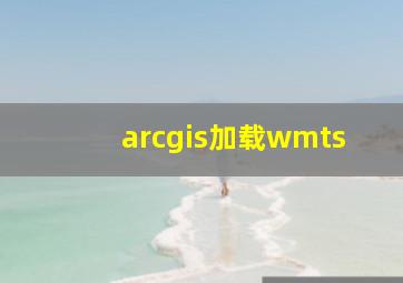 arcgis加载wmts