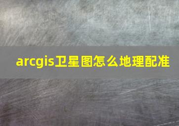 arcgis卫星图怎么地理配准