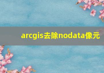 arcgis去除nodata像元