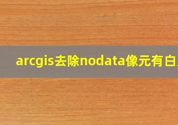 arcgis去除nodata像元有白点