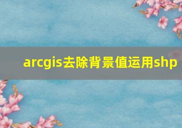 arcgis去除背景值运用shp