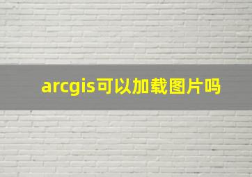 arcgis可以加载图片吗