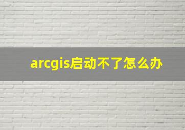 arcgis启动不了怎么办