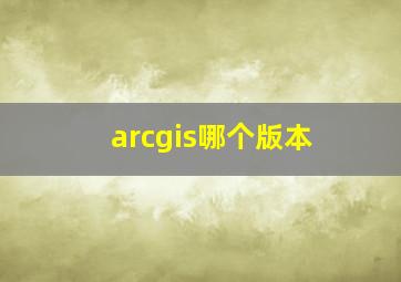 arcgis哪个版本