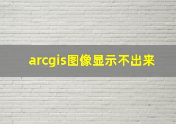 arcgis图像显示不出来