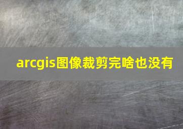 arcgis图像裁剪完啥也没有