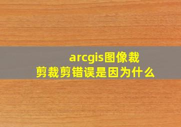 arcgis图像裁剪裁剪错误是因为什么