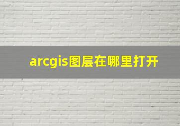 arcgis图层在哪里打开