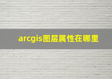 arcgis图层属性在哪里