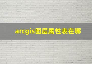 arcgis图层属性表在哪