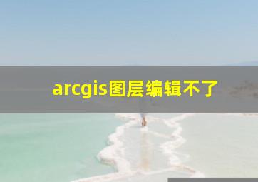 arcgis图层编辑不了