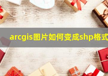 arcgis图片如何变成shp格式