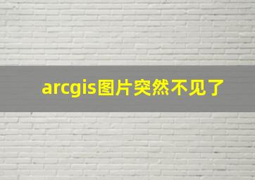 arcgis图片突然不见了