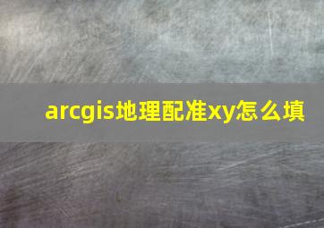 arcgis地理配准xy怎么填