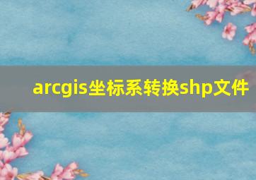 arcgis坐标系转换shp文件