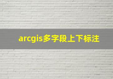 arcgis多字段上下标注