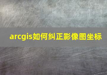 arcgis如何纠正影像图坐标