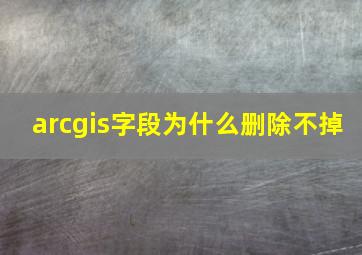 arcgis字段为什么删除不掉