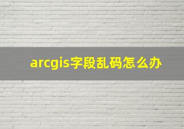 arcgis字段乱码怎么办