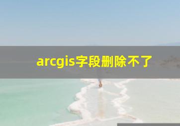 arcgis字段删除不了