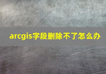 arcgis字段删除不了怎么办