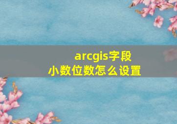 arcgis字段小数位数怎么设置