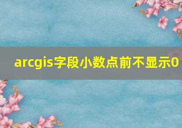 arcgis字段小数点前不显示0