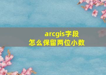 arcgis字段怎么保留两位小数