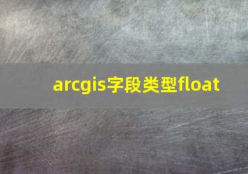 arcgis字段类型float