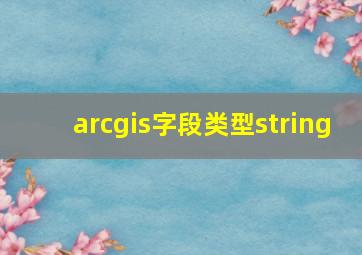 arcgis字段类型string