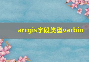 arcgis字段类型varbin