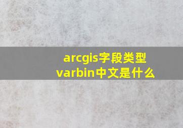 arcgis字段类型varbin中文是什么