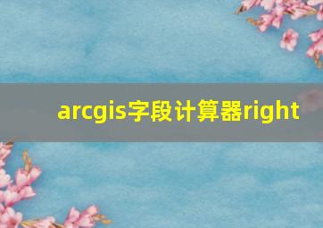 arcgis字段计算器right