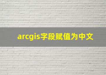 arcgis字段赋值为中文