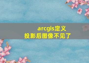 arcgis定义投影后图像不见了